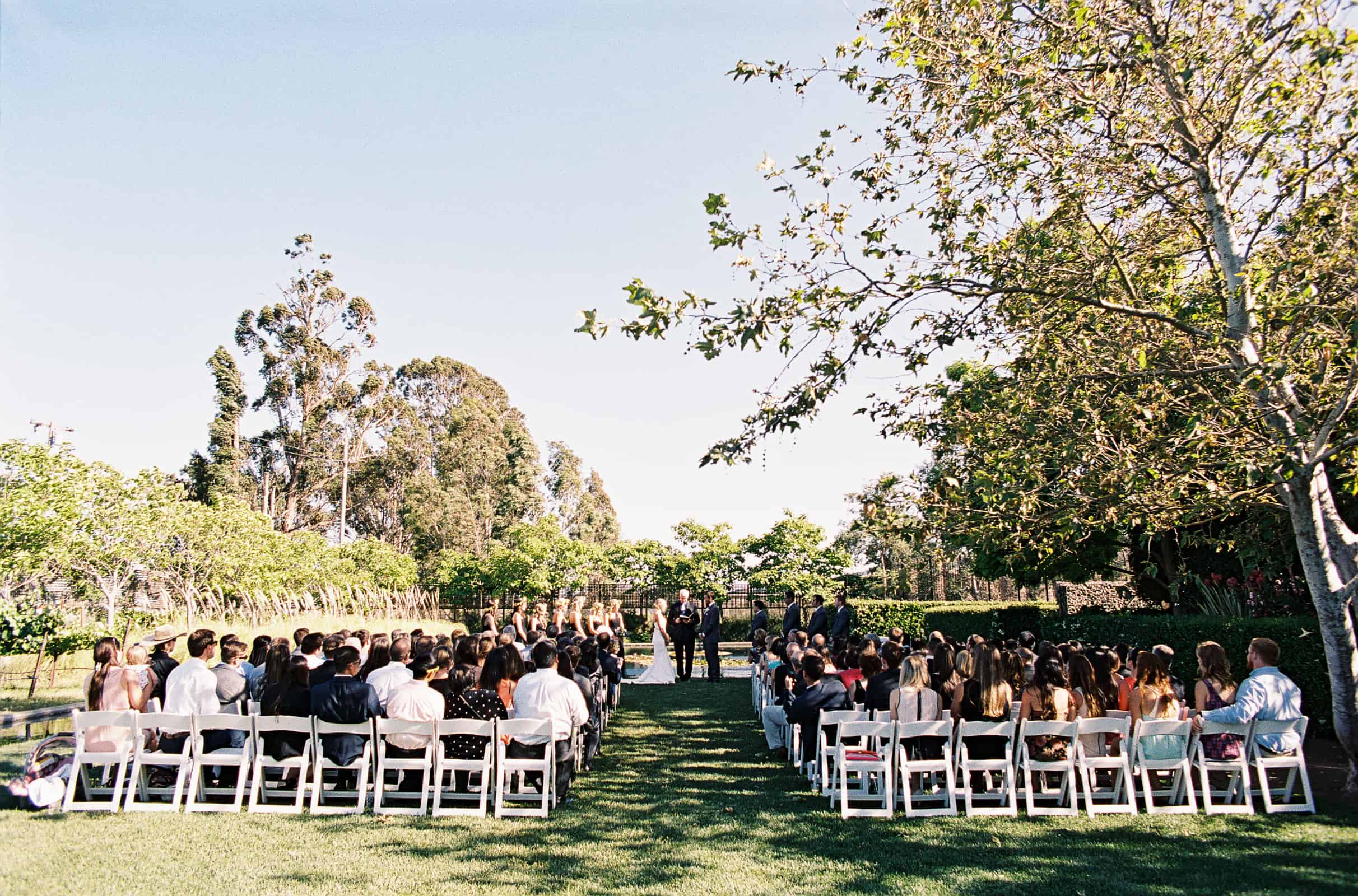 ceremony wide shot grass lawn