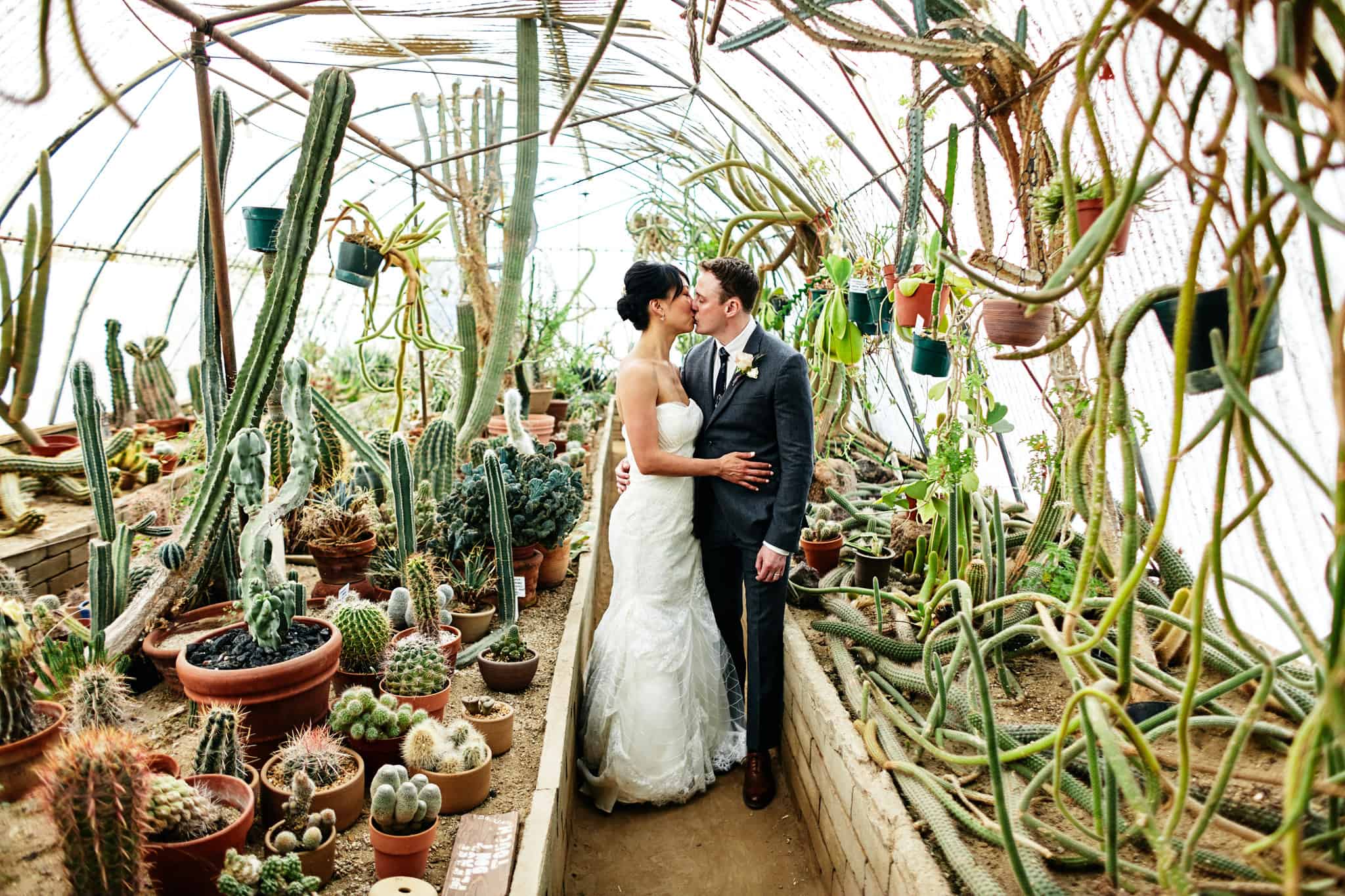 green house cactarium wedding portait at moorten botanical garden in palm springs